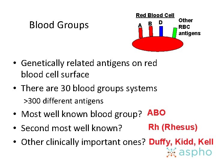 Blood Groups Red Blood Cell Other D B A RBC antigens • Genetically related