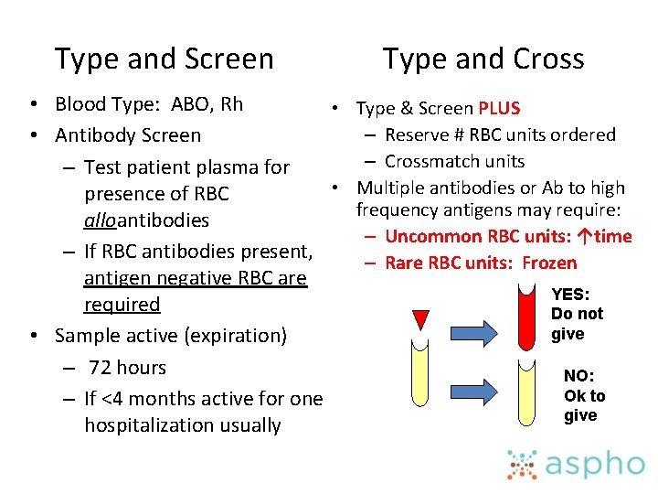 Type and Screen Type and Cross • Blood Type: ABO, Rh • Type &