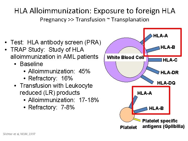 HLA Alloimmunization: Exposure to foreign HLA Pregnancy >> Transfusion ~ Transplanation HLA-A • Test: