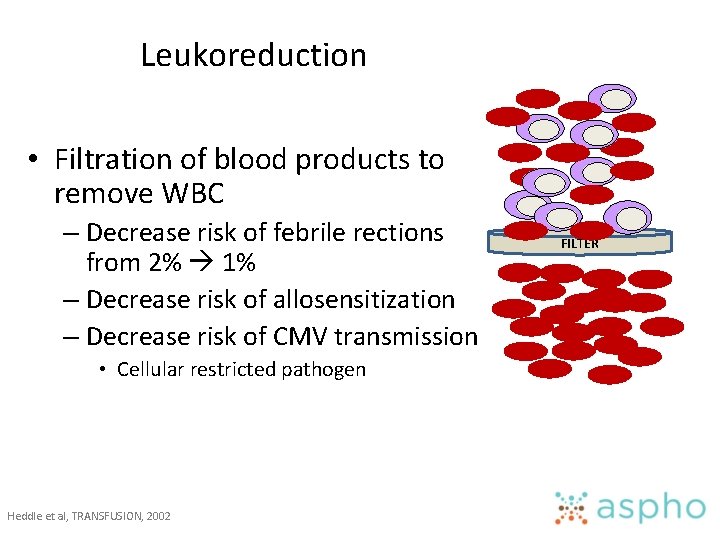 Leukoreduction • Filtration of blood products to remove WBC – Decrease risk of febrile