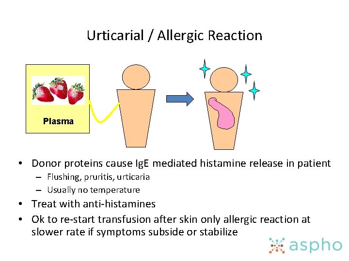 Urticarial / Allergic Reaction Plasma • Donor proteins cause Ig. E mediated histamine release