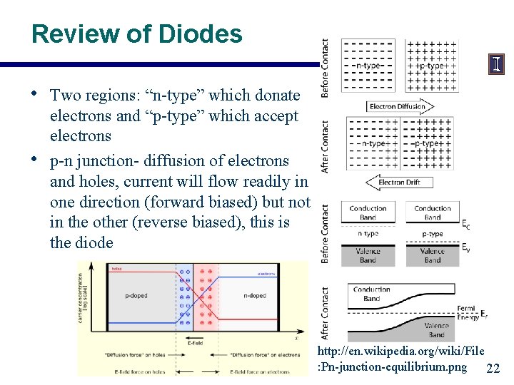 Review of Diodes • • Two regions: “n-type” which donate electrons and “p-type” which
