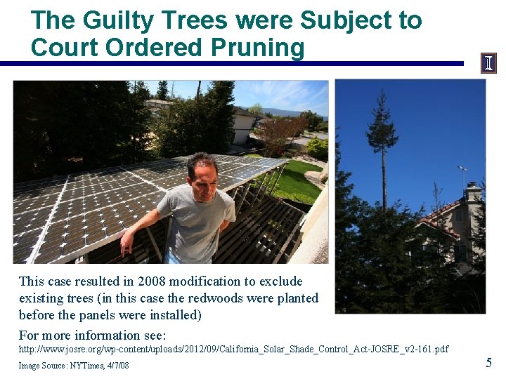The Guilty Trees were Subject to Court Ordered Pruning This case resulted in 2008