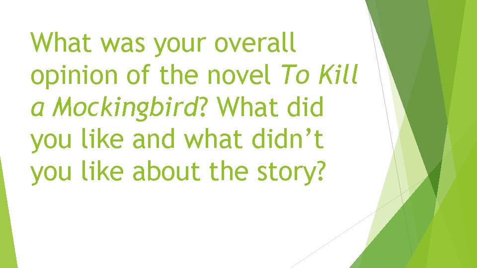 What was your overall opinion of the novel To Kill a Mockingbird? What did