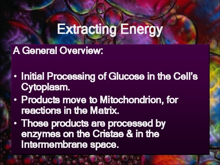 Extracting Energy A General Overview: • Initial Processing of Glucose in the Cell’s Cytoplasm.