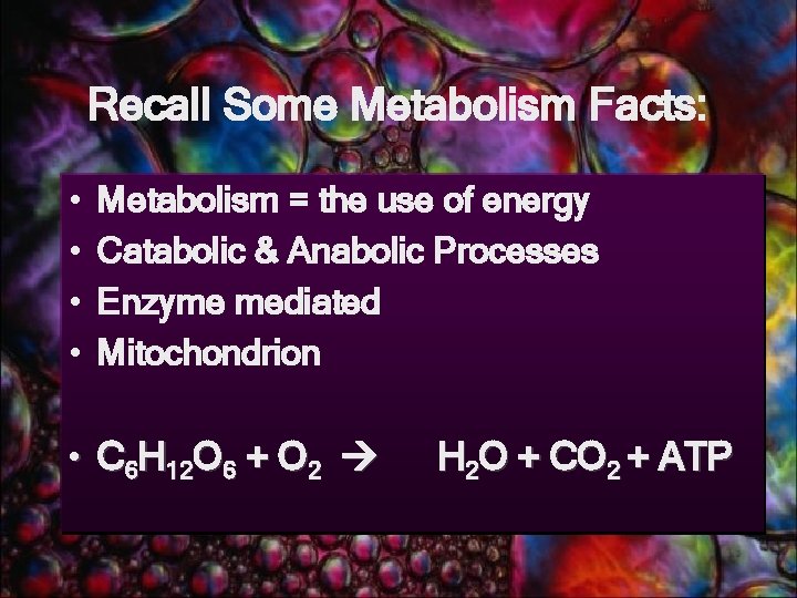 Recall Some Metabolism Facts: • • Metabolism = the use of energy Catabolic &