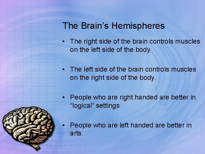 The Brain’s Hemispheres • The right side of the brain controls muscles on the