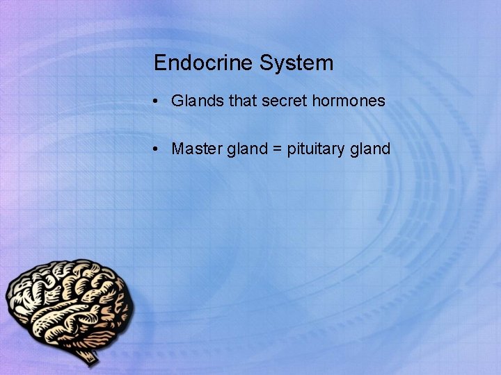 Endocrine System • Glands that secret hormones • Master gland = pituitary gland 