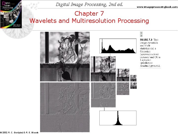 Digital Image Processing, 2 nd ed. www. imageprocessingbook. com Chapter 7 Wavelets and Multiresolution Digital Image Processing, 2 nd ed. www. imageprocessingbook. com Chapter 7 Wavelets and Multiresolution