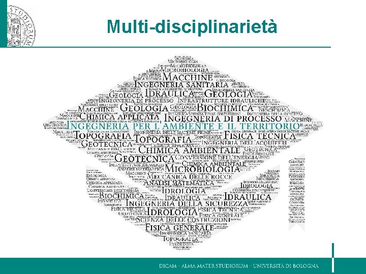 Multi-disciplinarietà 