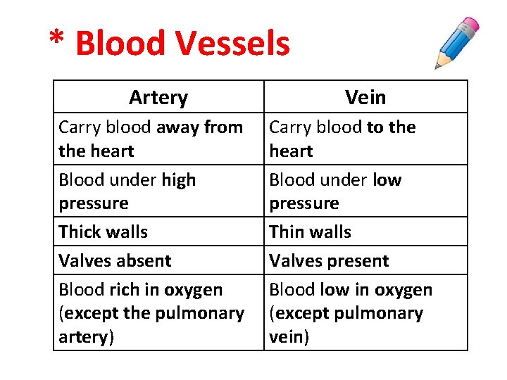 * Blood Vessels Artery Carry blood away from the heart Blood under high pressure