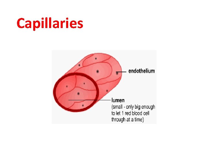 Capillaries 
