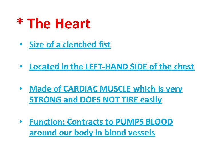 * The Heart • Size of a clenched fist • Located in the LEFT-HAND