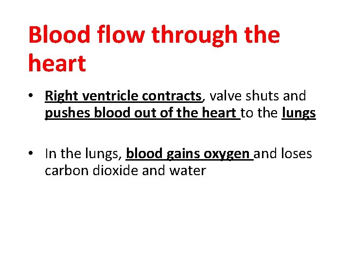 Blood flow through the heart • Right ventricle contracts, valve shuts and pushes blood