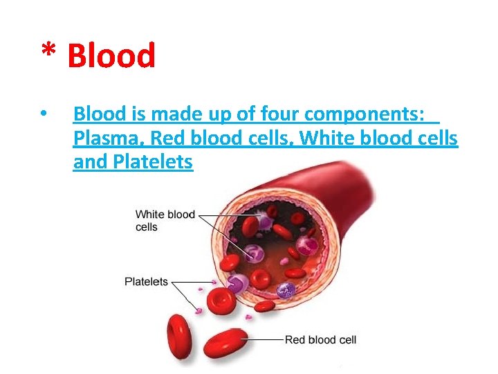 * Blood • Blood is made up of four components: Plasma, Red blood cells,