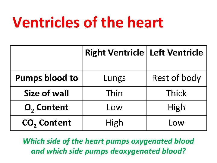 Ventricles of the heart Right Ventricle Left Ventricle Pumps blood to Lungs Rest of