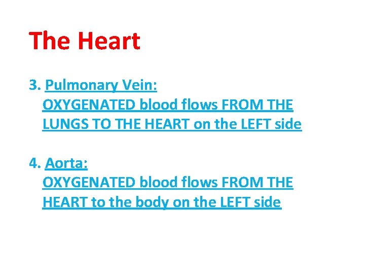 The Heart 3. Pulmonary Vein: OXYGENATED blood flows FROM THE LUNGS TO THE HEART