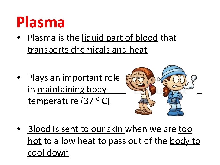 Plasma • Plasma is the liquid part of blood that transports chemicals and heat