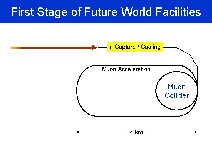 First Stage of Future World Facilities m Capture / Cooling Muon Acceleration Muon Collider