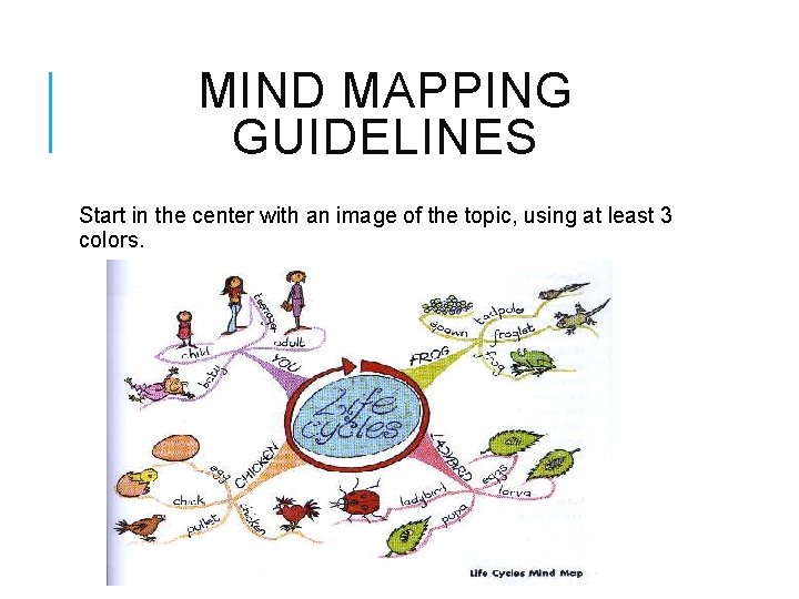 MIND MAPPING GUIDELINES Start in the center with an image of the topic, using