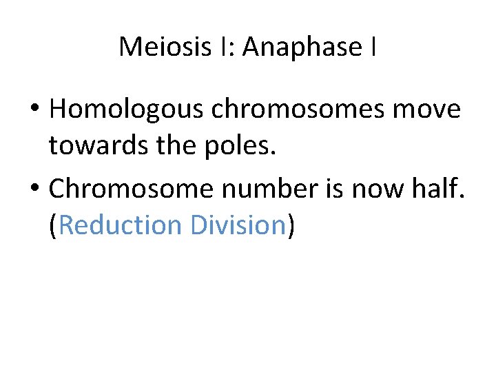 Meiosis I: Anaphase I • Homologous chromosomes move towards the poles. • Chromosome number