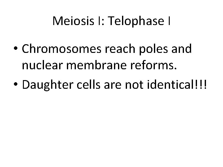 Meiosis I: Telophase I • Chromosomes reach poles and nuclear membrane reforms. • Daughter