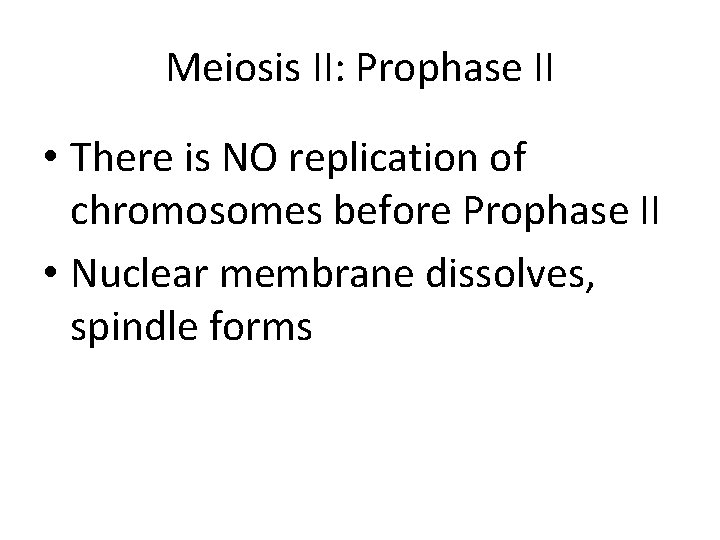 Meiosis II: Prophase II • There is NO replication of chromosomes before Prophase II