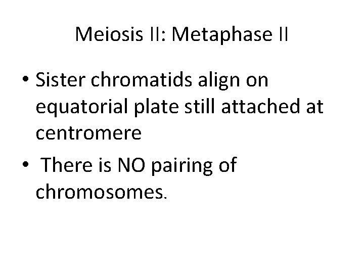 Meiosis II: Metaphase II • Sister chromatids align on equatorial plate still attached at