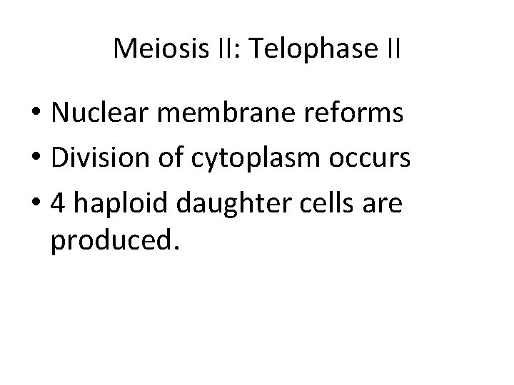 Meiosis II: Telophase II • Nuclear membrane reforms • Division of cytoplasm occurs •