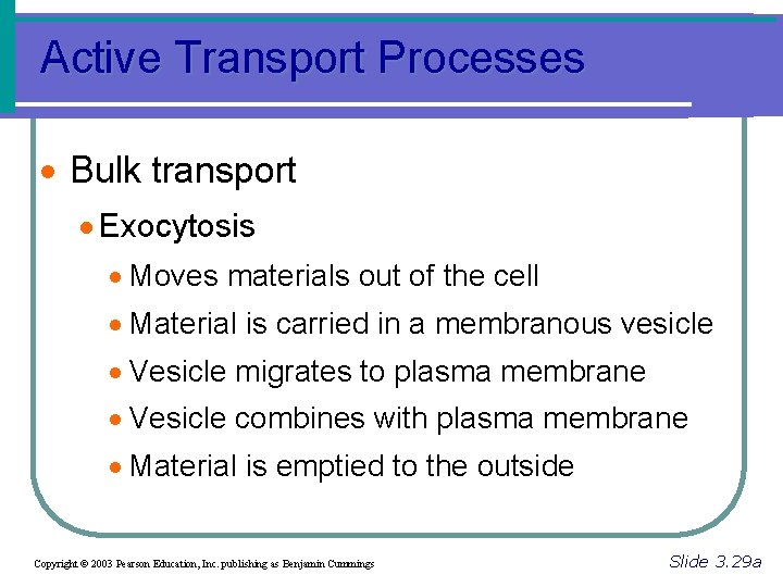 Active Transport Processes · Bulk transport · Exocytosis · Moves materials out of the