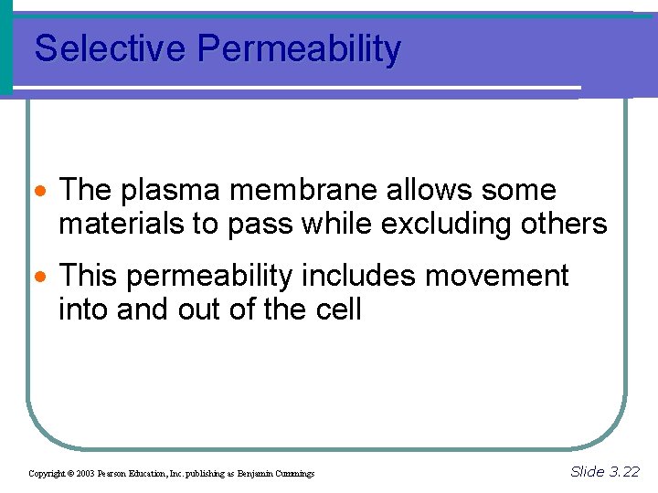 Selective Permeability · The plasma membrane allows some materials to pass while excluding others