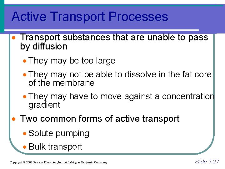 Active Transport Processes · Transport substances that are unable to pass by diffusion ·