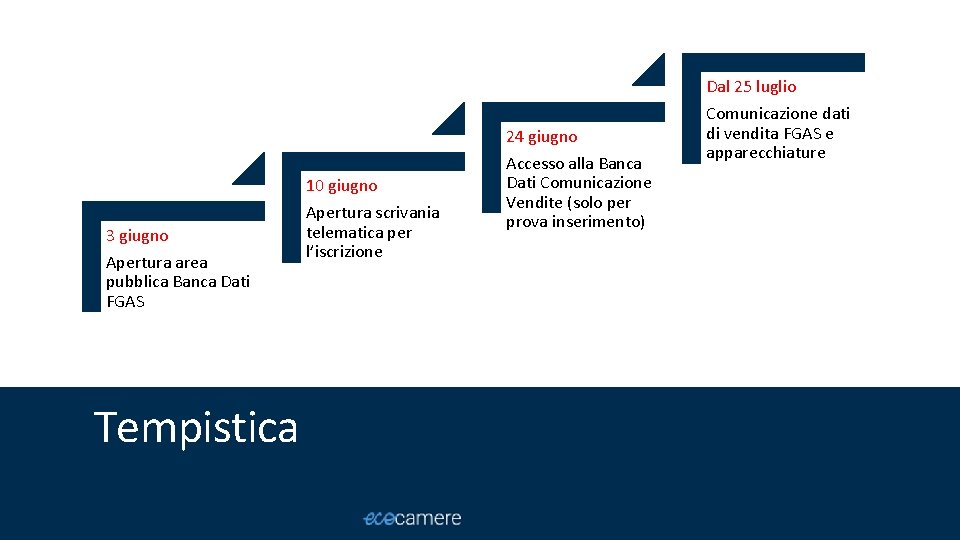 Dal 25 luglio 24 giugno 10 giugno 3 giugno Apertura area pubblica Banca Dati