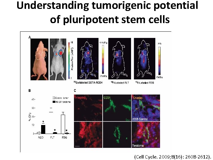 Understanding tumorigenic potential of pluripotent stem cells (Cell Cycle. 2009; 8(16): 2608 -2612). 