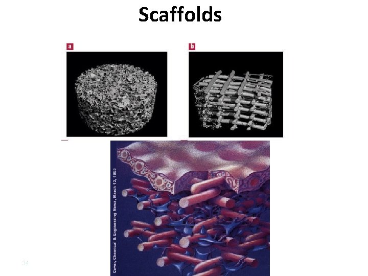 Scaffolds 34 