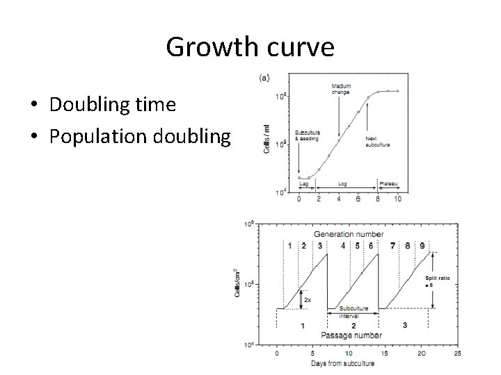 Growth curve • Doubling time • Population doubling 