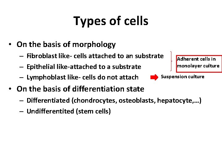 Types of cells • On the basis of morphology – Fibroblast like- cells attached