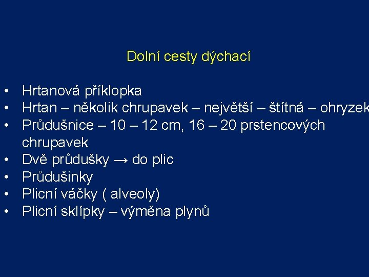 Dolní cesty dýchací • Hrtanová příklopka • Hrtan – několik chrupavek – největší – Dolní cesty dýchací • Hrtanová příklopka • Hrtan – několik chrupavek – největší –