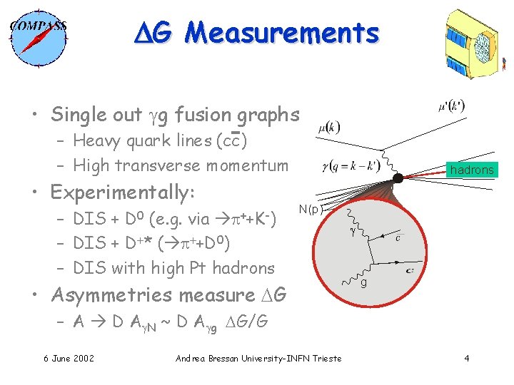 DG Measurements • Single out gg fusion graphs – Heavy quark lines (cc) –