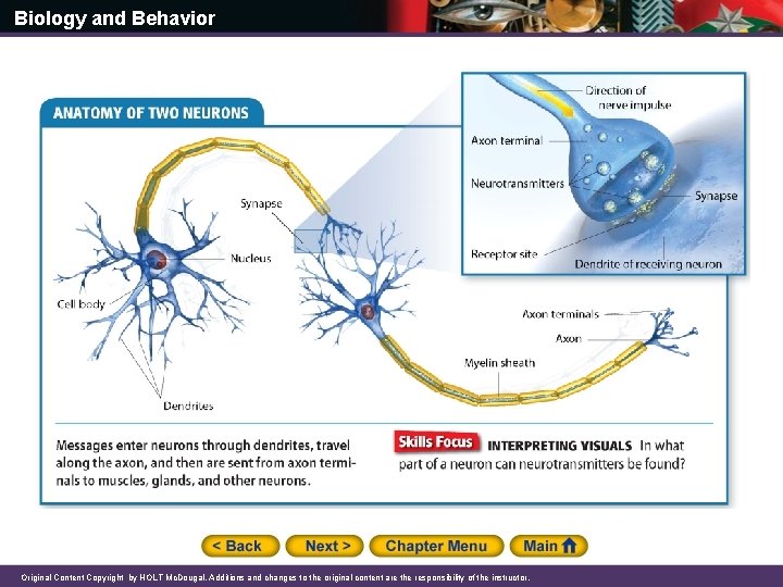 Biology and Behavior Original Content Copyright by HOLT Mc. Dougal. Additions and changes to