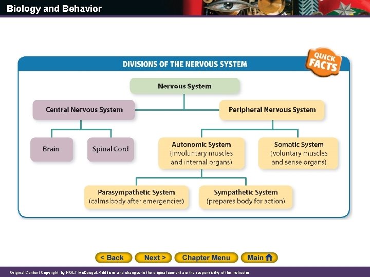 Biology and Behavior Original Content Copyright by HOLT Mc. Dougal. Additions and changes to