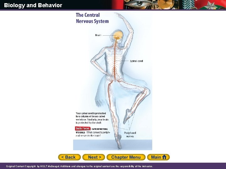 Biology and Behavior Original Content Copyright by HOLT Mc. Dougal. Additions and changes to