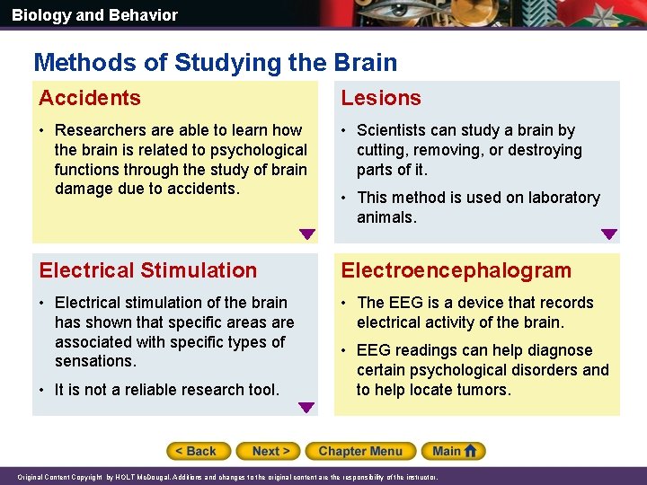 Biology and Behavior Methods of Studying the Brain Accidents Lesions • Researchers are able