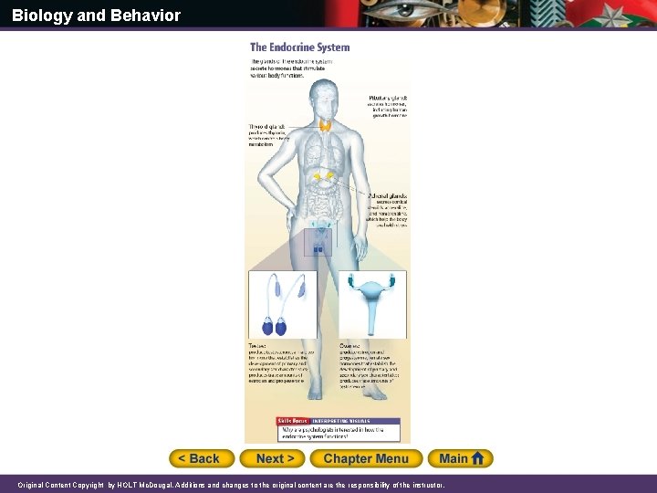 Biology and Behavior Original Content Copyright by HOLT Mc. Dougal. Additions and changes to