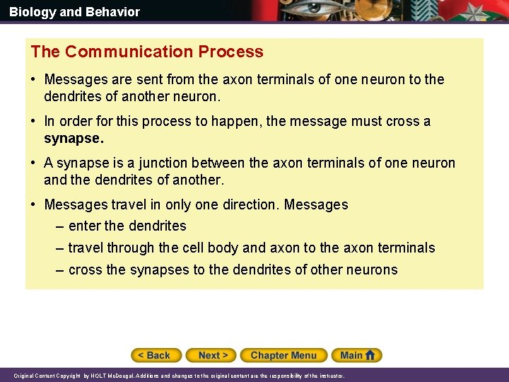 Biology and Behavior The Communication Process • Messages are sent from the axon terminals