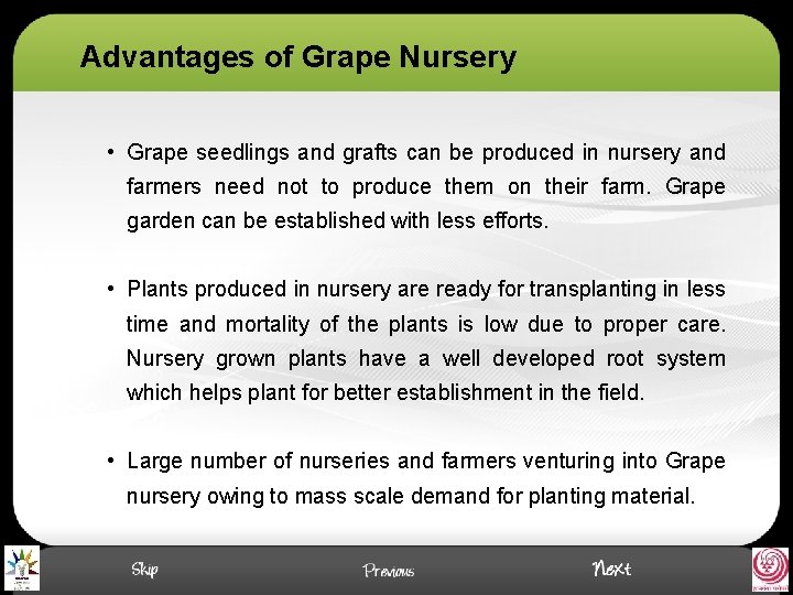 Advantages of Grape Nursery • Grape seedlings and grafts can be produced in nursery