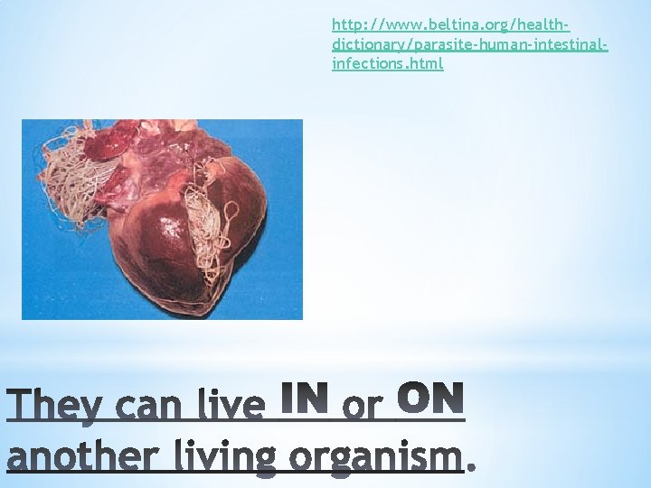 http: //www. beltina. org/healthdictionary/parasite-human-intestinalinfections. html 