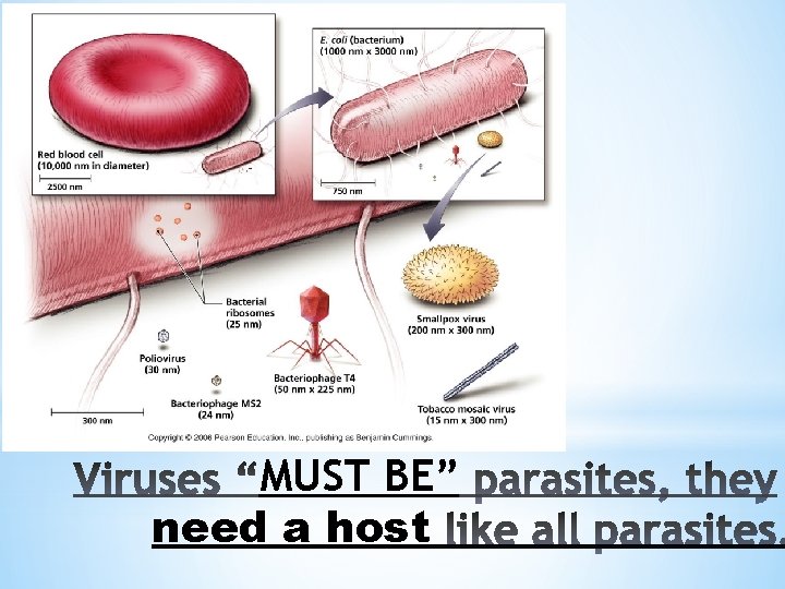 MUST BE” need a host 