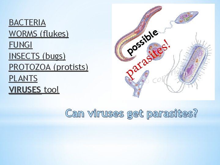 BACTERIA WORMS (flukes) FUNGI INSECTS (bugs) PROTOZOA (protists) PLANTS VIRUSES too! e l ib
