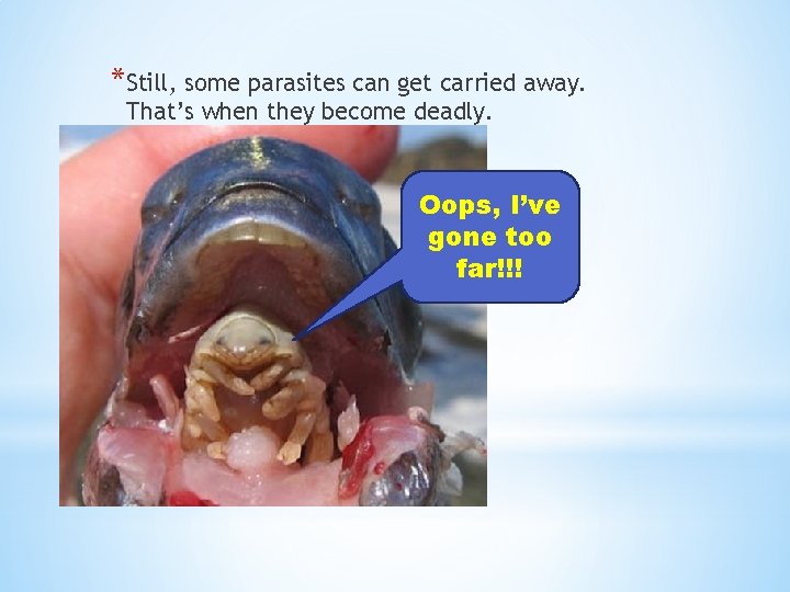 *Still, some parasites can get carried away. That’s when they become deadly. Oops, I’ve